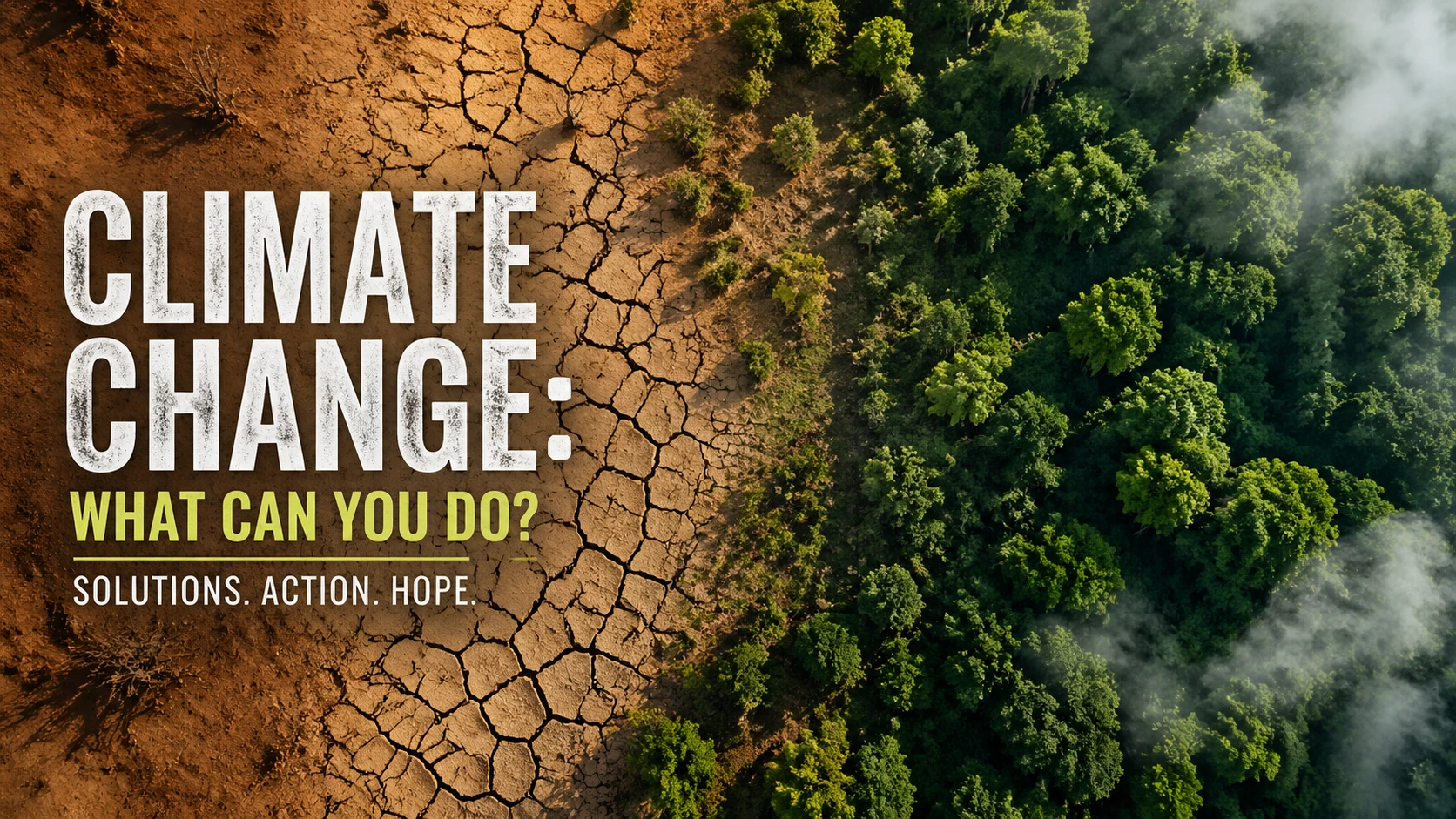 Article cover for "Climate Change: What Can You Do?", aerial view of a cracked earth transitioning to lush green forest, dramatic contrast, editorial  — GPT Image 2